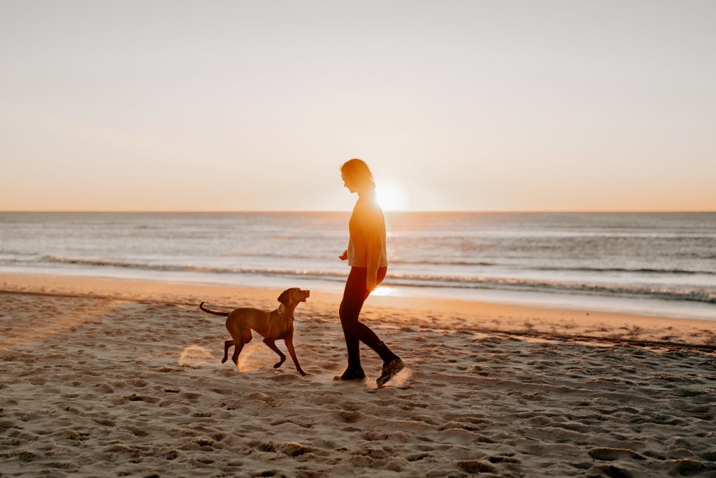 hundefotografie Saarland und weltweit
