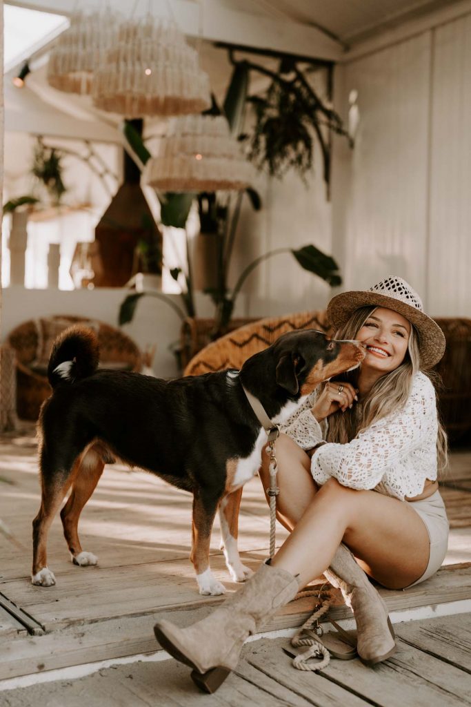 Professionelle Hundefotografie am Strand von Holland