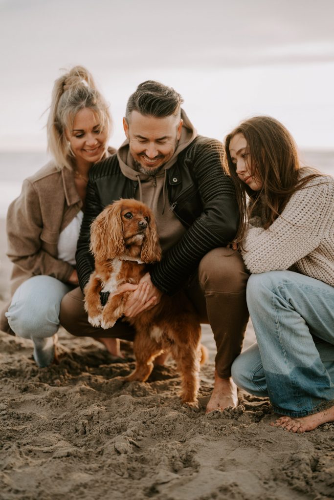 Hund beim professionellen Fotoshooting im Freien für den Hundefotografie Blog von Fellfreundschaften