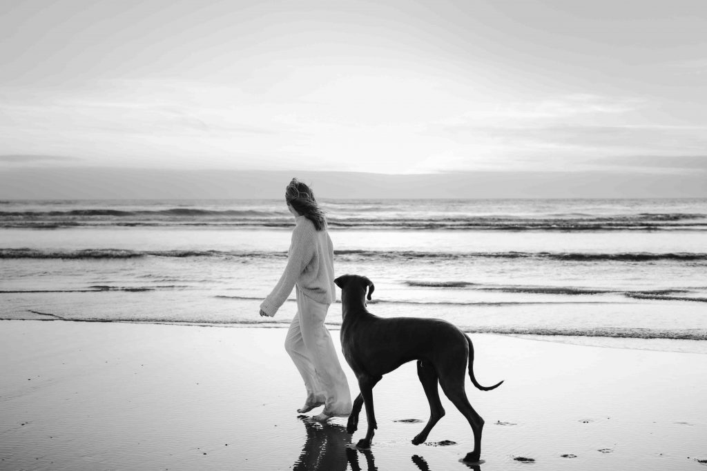 Workshop für Hundefotografen am Meer